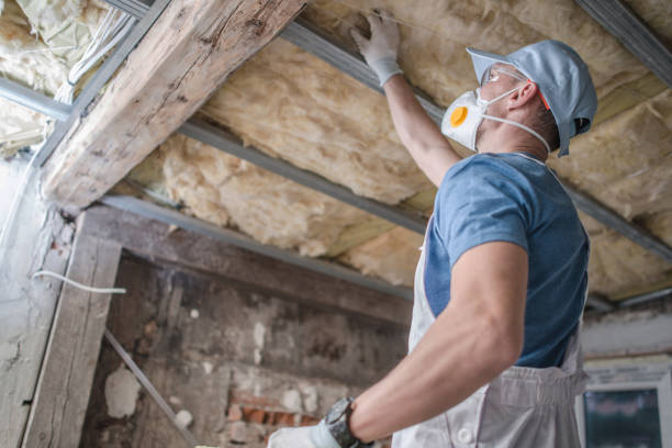 Best Insulation Maintenance and Repair in Richton, MS